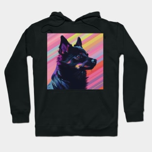 Schipperke in 70's Hoodie